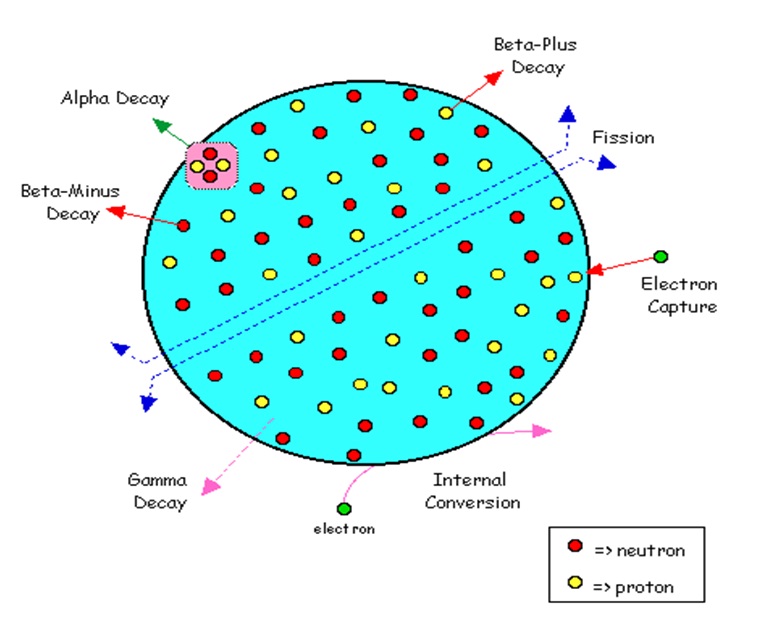 1555_Radionuclide,Metastable Radionuclides.jpg